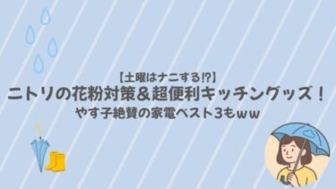 【土曜はナニする】ニトリの花粉対策＆超便利キッチングッズ！やす子絶賛の家電ベスト3もｗｗ
