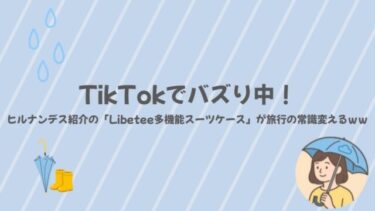 TikTokでバズり中！ヒルナンデス紹介の「Libetee多機能スーツケース」が旅行の常識変えるｗｗ