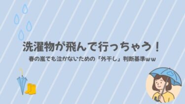 洗濯物が飛んで行っちゃう！春の嵐でも泣かないための「外干し」判断基準ｗｗ