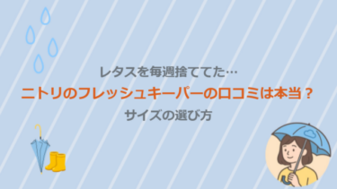 レタスを毎週捨ててた…ニトリのフレッシュキーパーの口コミは本当？サイズの選び方