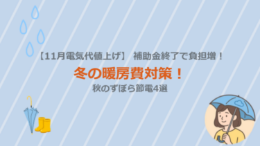 【11月電気代値上げ】補助金終了で負担増！冬の暖房費対策！秋のずぼら節電4選